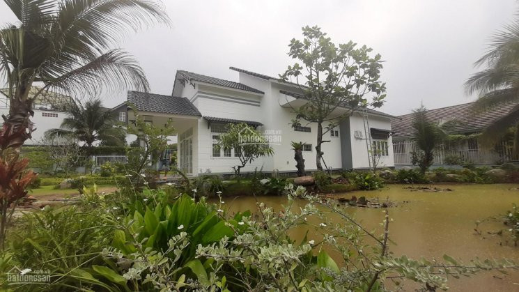 Chính Chủ Bán Nhanh Homestay Tại An Thạnh, Thuận An Diện Tích: Ngang 33x34 (1150m2) Thổ Cư 160m2 3