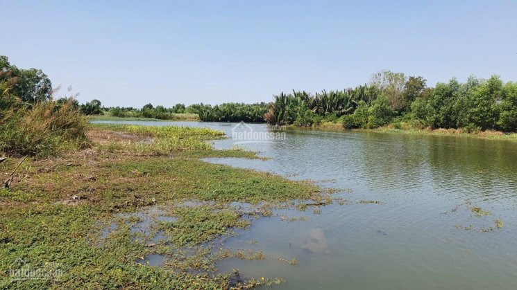 Chính Chủ Bán Nhanh Lô đất Làm Nhà Vườn Hay đầu Tư Rất Thích Hợp, Giá Bao Rẻ Cho Nhà đầu Tư, Xã Phước Khánh 2