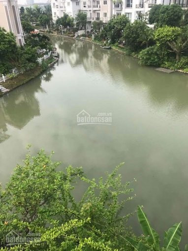 Chính Chủ Bán Nhanh Lô Hoa Sữa 5-11 Và Hs 3-19, Hs 9-20, 380m2, Ngã 3 Sông đẹp Nhất Vinhomes Riverside: 0932533333 3