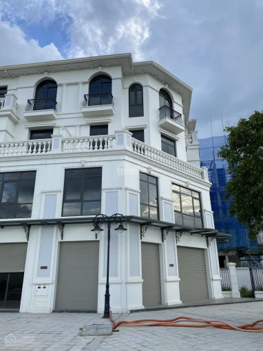 Chính Chủ Bán Nhanh Lô Shophouse Góc 171m2 Vinhomes Ocean Park Vỉa Hè Rộng Có Sân Vườn, Sát Chung Cư Và Trường Học 1