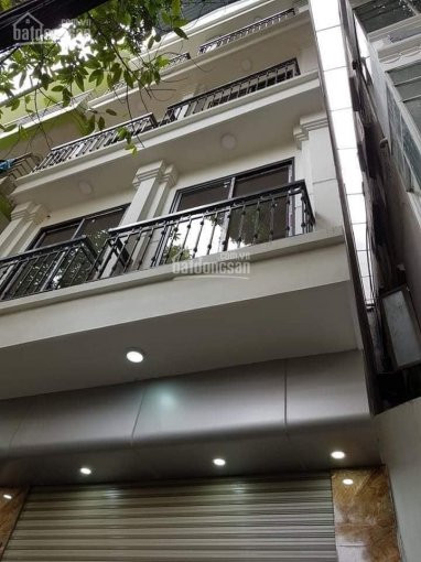 Chính Chủ Bán Nhanh Nhà 6,6 Tỷ, 40m2, Mặt Tiền 58m, Kd, Thông Phong, đống đa 3