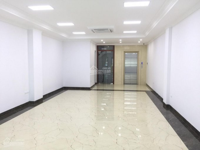 Chính Chủ Bán Nhanh Nhà Phân Lô Phố Trần Quốc Hoàn, Cầu Giấy 145 Tỷ, 60m2x7t, ôtô 7 Chỗ Vào Nhà 2