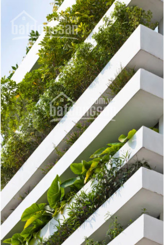 Chính Chủ Bán Nhanh Nhà Stacking Green House Tọa Lạc Tại Quận 2, 80m2 được Thiết Kế Bởi Công Ty Kts Võ Trọng Nghĩa 2