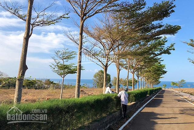 Chính Chủ Bán Nhanh Nhanh Lô đất Mt Huỳnh Thúc Kháng, đối Diện Công Viên Biển, Có Bãi Tắm Riêng Lh 0969877590 4