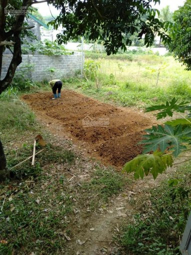 Chính Chủ Cần Bán 5741 M2 đất Thổ Cư Giá Rẻ Tại Thị Trấn Lương Sơn, Hòa Bình 2