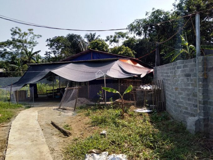 Chính Chủ Cần Bán 5741 M2 đất Thổ Cư Giá Rẻ Tại Thị Trấn Lương Sơn, Hòa Bình 3