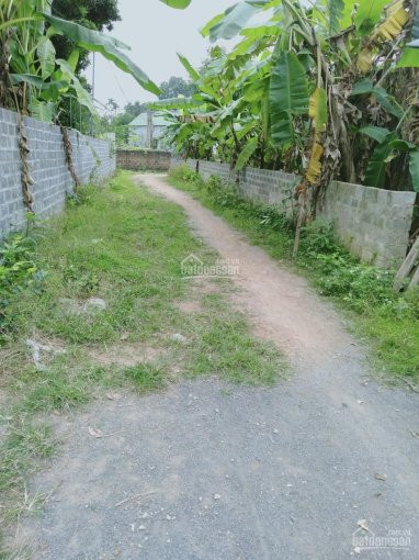 Chính Chủ Cần Bán 5741 M2 đất Thổ Cư Giá Rẻ Tại Thị Trấn Lương Sơn, Hòa Bình 4