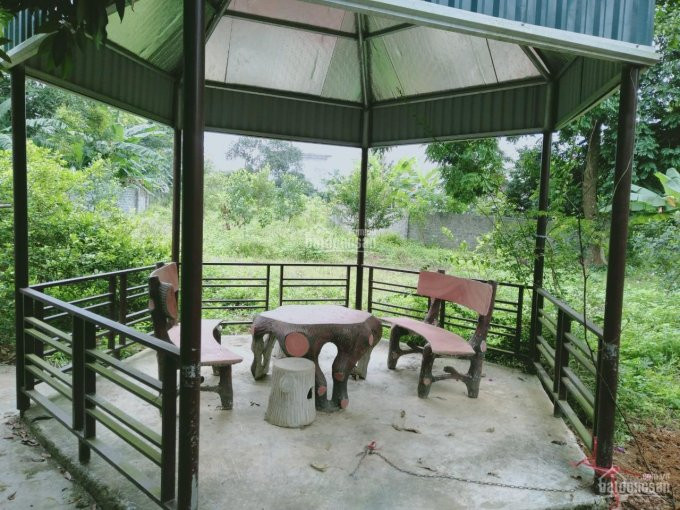 Chính Chủ Cần Bán 5741 M2 đất Thổ Cư Giá Rẻ Tại Thị Trấn Lương Sơn, Hòa Bình 5