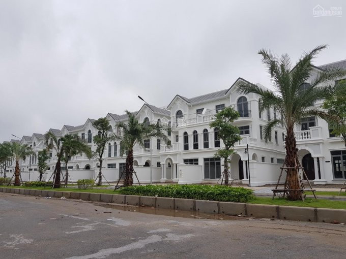 Chính Chủ Cần Bán Căn Shophouse Tulip 9 Dự án Vinhomes Riverside - The Harmony Diện Tích 225m2 3
