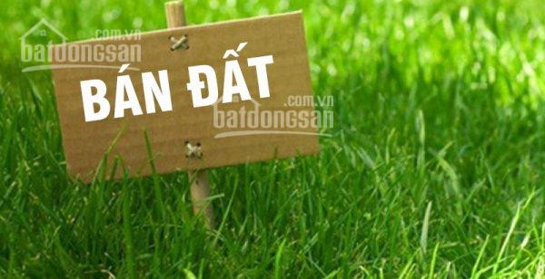 Chính Chủ Cần Bán Gấp đất Quang Tiến ô Tô Tránh 86m Mặt Tiền 43 Giá 525tỷ Tương Lai Quy Hoạch đỉnh Cao 1