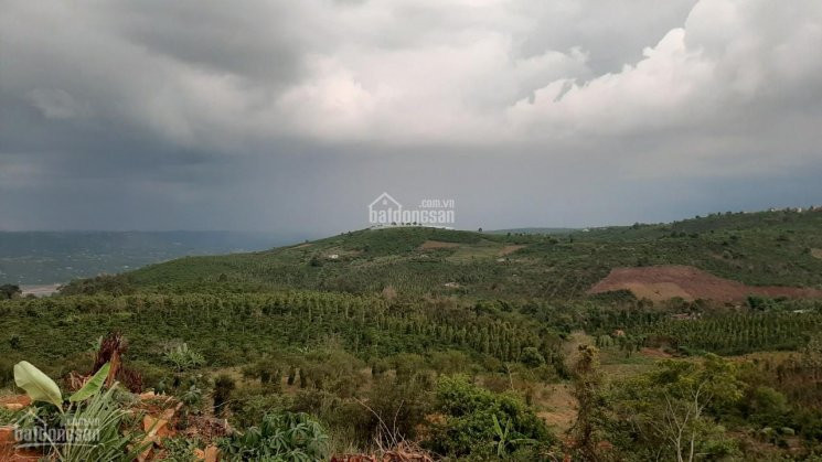 Chính Chủ Cần Bán Lô đất View Sông đồng Nai, 4450m2, 70m Mặt Tiền, đường Nhựa 6m, Khu Dân Cư 4