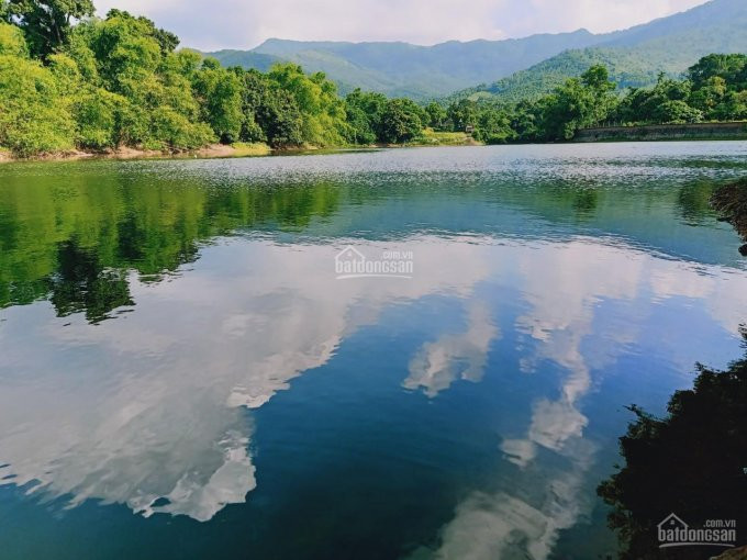 Chính Chủ Cần Tìm Bàn Tay Vàng Trong Làng Bất động Sản để Biến Lô đất Quý Hơn Vàng 1