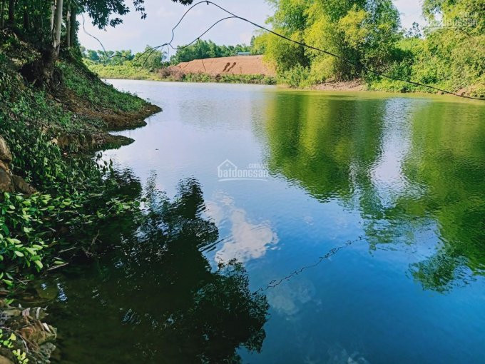 Chính Chủ Cần Tìm Bàn Tay Vàng Trong Làng Bất động Sản để Biến Lô đất Quý Hơn Vàng 4