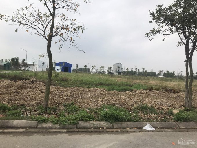 Chính Chủ Cho Thuê Nhanh 20000m2 đất Có Giấy Phép đầy đủ Mặt Tiền đường Container Tại đất Cuốc, Huyện Bắc Tân Uyên 3