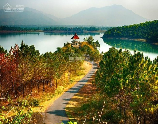 Chính Chủ Cho Thuê Nhanh đất Làm Homestay Gần Biển Hồ - Tiên Sơn Pleiku View Hồ Tuyệt đẹp 5