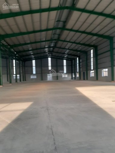 Chính Chủ Cho Thuê Nhanh Kho Xưởng Bến Lức, Long An, Tổng Diện Tích: 5000m2 Nhà Xưởng: 3000m2 4