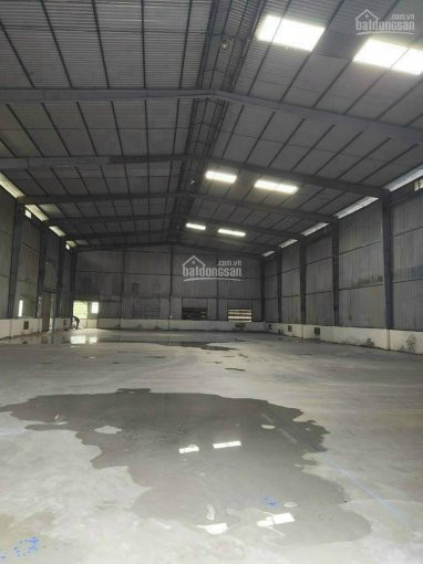 Chính Chủ Cho Thuê Nhanh Kho Xưởng Ql13 Thuận An Bình Dương Diện Tích 200m2,300m2,500m2,1000m2,3000m2 Lh 0981213799 2