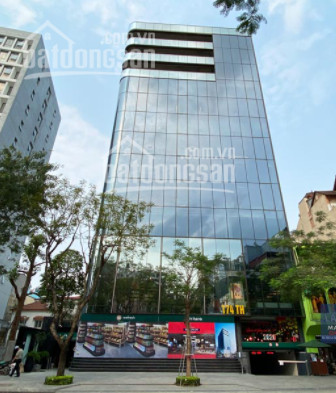 Chính Chủ Cho Thuê Nhanh Sàn Văn Phòng & Văn Phòng Trọng Gói Tòa Ttg Tower 174 Thái Hà Cho Thuê Dt 70m2, 600m2 1