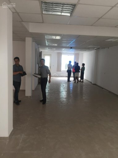 Chính Chủ Cho Thuê Nhanh Văn Phòng 87 Láng Hạ, Quận Ba đình 60m2, 90m2, 160m2, 300m2, 1200m2, Giá 130 Nghìn/m2/th 5