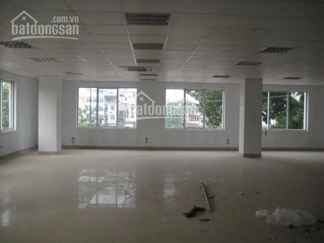 Chính Chủ Cho Thuê Nhanh Văn Phòng Phố Cát Linh, Quận đống đa, 50m2, 150m2, 250m2, 330m2 Giá 150 Nghìn/m2/tháng 1