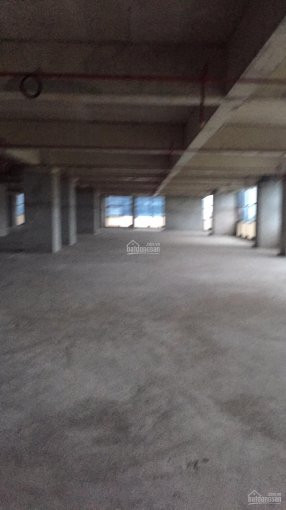 Chính Chủ Cho Thuê Nhanh Văn Phòng Phố Xuân La, Quận Tây Hồ 100m2, 150m2, 300m2 - 500m2, Giá 140 Nghìn/m2/tháng 5