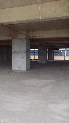 Chính Chủ Cho Thuê Nhanh Văn Phòng Phố Xuân La, Quận Tây Hồ 100m2, 150m2, 300m2 - 500m2, Giá 140 Nghìn/m2/tháng 6