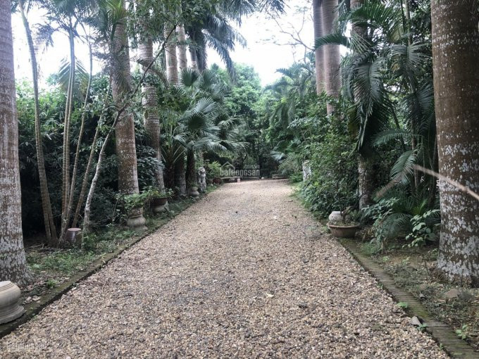Chuyển Nhượng Khuôn Viên Nhà Vườn Có Nhà Sàn Rất đẹp Dt 4000m2 Tại Nhuận Trạch, Lương Sơn, Hòa Bình 2