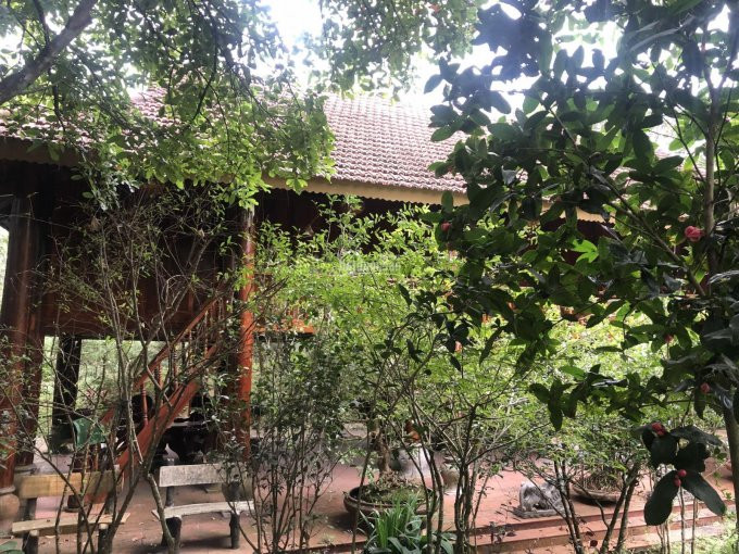 Chuyển Nhượng Khuôn Viên Nhà Vườn Có Nhà Sàn Rất đẹp Dt 4000m2 Tại Nhuận Trạch, Lương Sơn, Hòa Bình 5