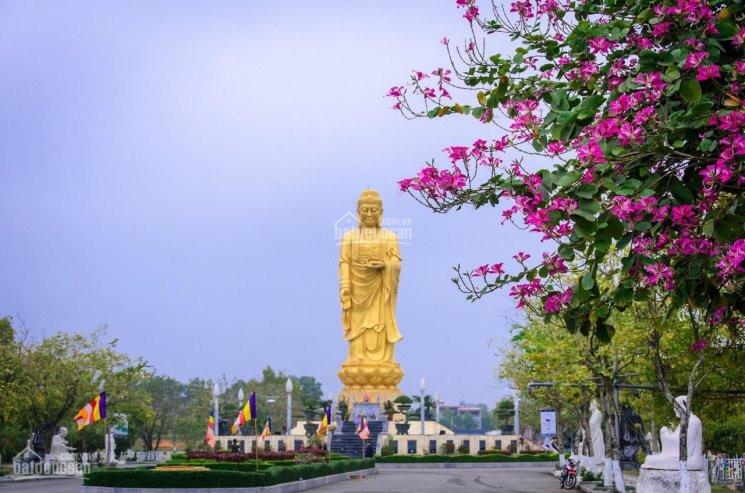 Cơ Hội Cho Nhà đầu Tư Và Quý Khách Hàng, The Phoenix Garden - đan Phượng 1