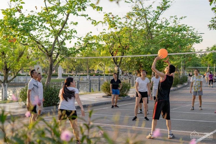 Cơ Hội Cho Nhà đầu Tư Và Quý Khách Hàng, The Phoenix Garden - đan Phượng 6