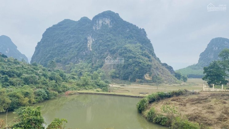 Cơ Hội Lớn Cho Các Nhà đầu Tư 21700m2 Có 1000m2 đất Thổ Cư Tại Kim Bôi, Hòa Bình 7