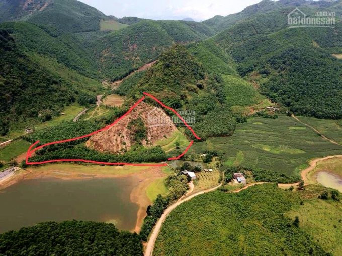 Cơ Hội Sở Hữu Ngay 16000m2 đất Rừng Sản Xuất Bám Mặt Hồ Tại Lương Sơn, Hòa Bình 1
