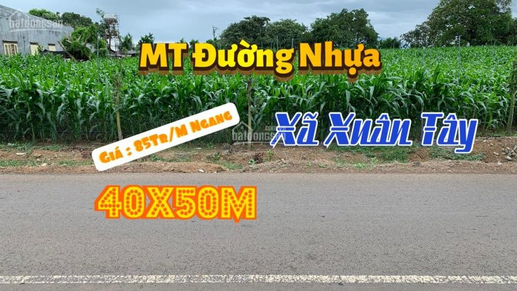 đất Mặt Tiền (40x50m) Gần Ubnd Xã Xuân Tây, đường Nhựa Xuân Tây- Bảo Bình - Giá 85tr/m Ngang 1