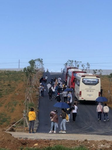 đất Ngay Trung Tâm Bảo Lộc Giá Rẻ Nhất Khu Vực, Nhận Sổ Hồng Ngay, Chỉ Tt 110 Triệu 4