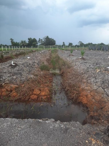 đất Ruộng An Tây, Gần đài Liệt Sĩ Gò Môn, đường Bờ 5m, Otô Vào Tới đất Giá Chỉ 1,35 Tỷ 4