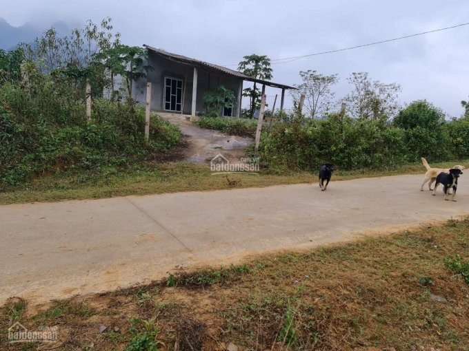 [hot] Cần Chuyển Nhượng 1 Ha đất Có 400 M2 đất ở Tại Xã Bình Sơn, Kim Bôi Giá đầu Tư 5