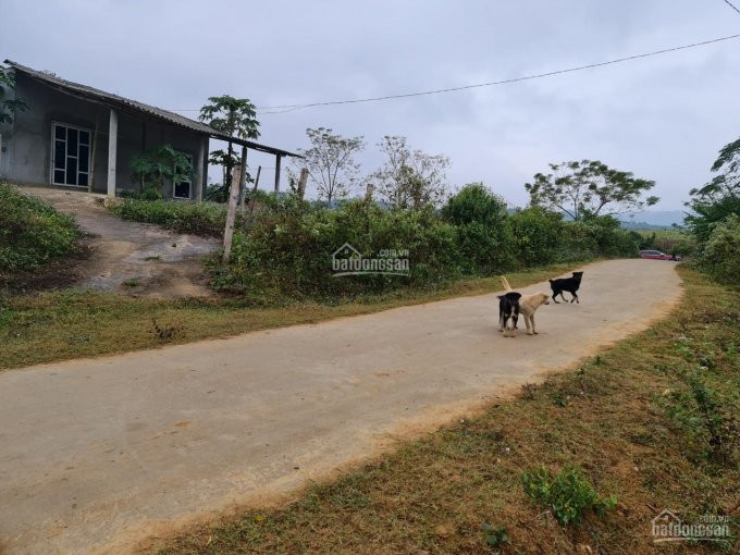 [hot] Cần Chuyển Nhượng 1 Ha đất Có 400 M2 đất ở Tại Xã Bình Sơn, Kim Bôi Giá đầu Tư 6