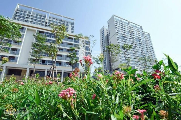 Kẹt Tiền Bán Gấp Căn 98 M2, Midtown Căn Góc 2 View Thoáng - Lỗ 250 Triệu Có ô đậu Xe Riêng 1