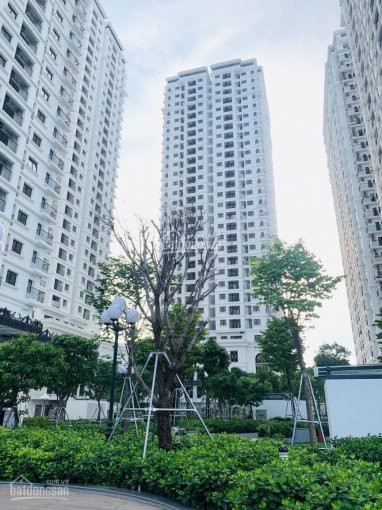 Mở Bán Căn Góc 132,9m2 Tại Iris Garden + Vip Nhất Mỹ đình, Chỉ Từ 295tr/m2, Lh 0938112966 3