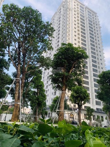 Mở Bán Căn Góc 132,9m2 Tại Iris Garden + Vip Nhất Mỹ đình, Chỉ Từ 295tr/m2, Lh 0938112966 4