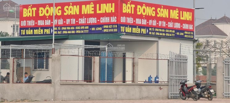 Mua Bán Biệt Thự Và Liền Kề Dự án Cienco5 Mê Linh 1