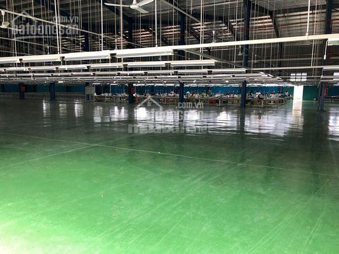 Nhà Xưởng Cho Thuê Bùi Công Trừng , Nhị Bình , Hóc Môn ,dt : 1800m2 , Giá Thuê 50tr/th 1