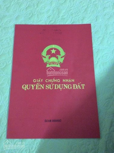 Oto đô Ngay Gần Nhà, Giá Chỉ Hơn 3 Tỷ Tại Trần Duy Hưng, Tại Sao Không Mua 3