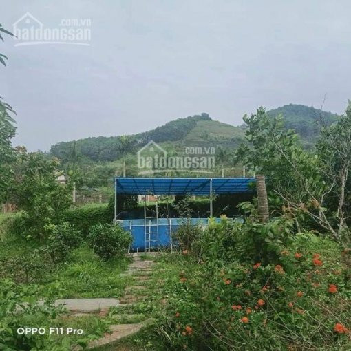 Tại Vân Hòa ,ba Vì Sẵn Khuôn Viên Dt: 1320m2 đất Gần Khu Sinh Thái Long Việt Ba Vì Lh 0964696068 3