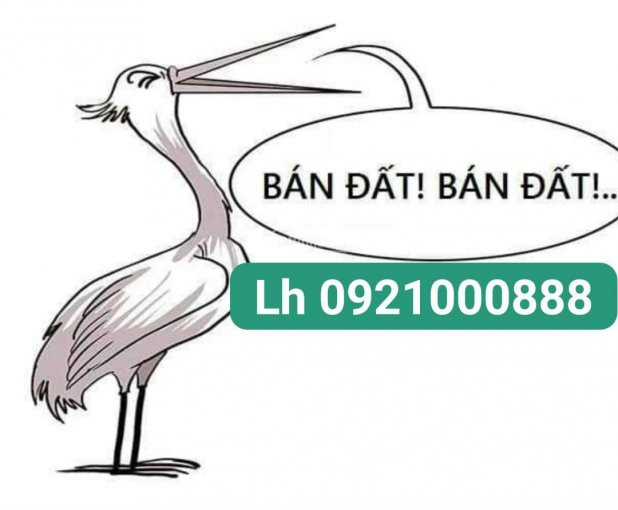 Tôi Cần Bán 465 M2 đất Thổ Cư Xã An Khánh Kinh Doanh Tốt  2