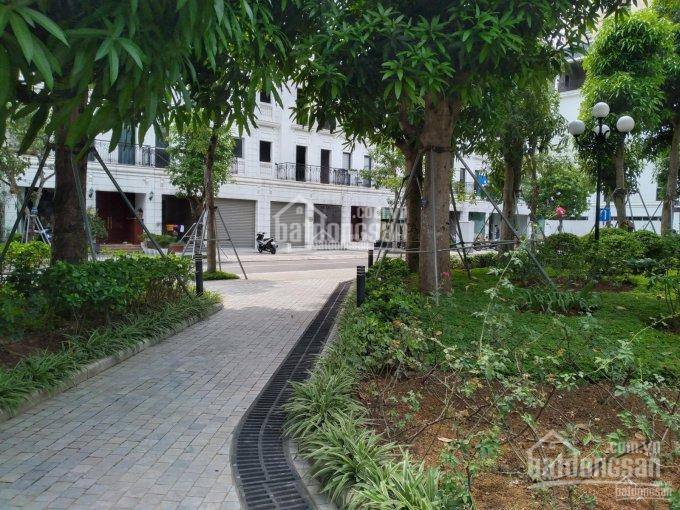 Tôi Cần Bán Shophouse Vimefulland Nguyễn Chánh, Cầu Giấy, Rộng 120m2 1