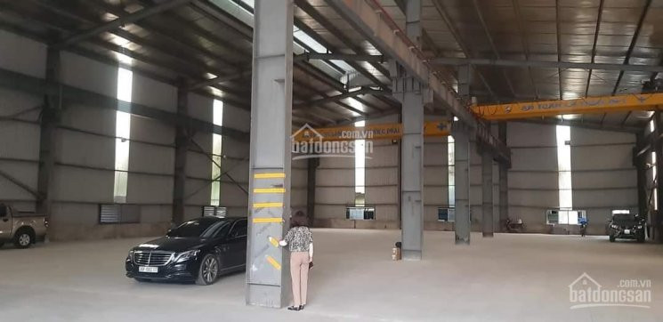 Tôi Cần Cho Thuê Kho Xưởng Cao Cấp Hồ Tùng Mậu 1300m2 - 1500m2 Trần Cao 8m Thông Sàn, Có Cẩu Nâng 6