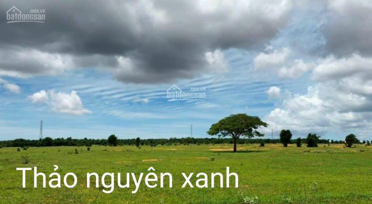 Tôi Cc Cần Bán Lô đất 5451m2 Xã Hoà Thắng, Gần Biển, Shr 3