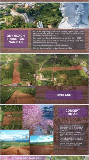 Xứ Anh đào Nam Ban -dự án Tiện ích Nội Khu Với Con đường Hoa Anh đào Dài Nhất Lâm Hà- Ven đà Lạt 3