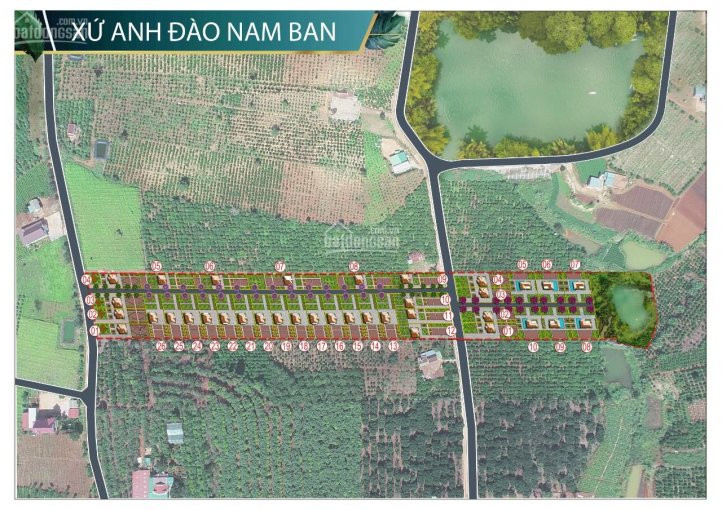 Xứ Anh đào Nam Ban -dự án Tiện ích Nội Khu Với Con đường Hoa Anh đào Dài Nhất Lâm Hà- Ven đà Lạt 5